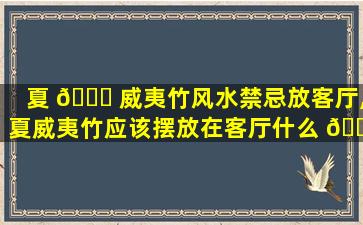 夏 🐒 威夷竹风水禁忌放客厅,夏威夷竹应该摆放在客厅什么 💐 方位
